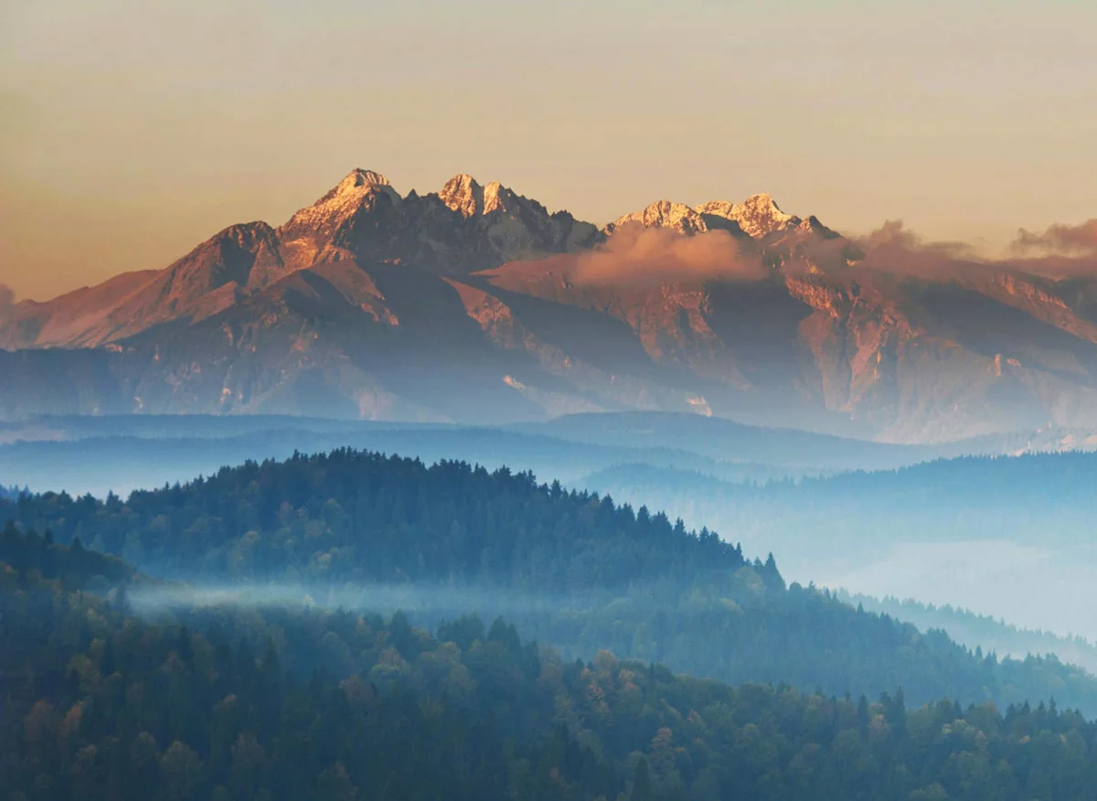 Obsługa LUCID: Kluczowe informacje i wskazówki dla użytkowników