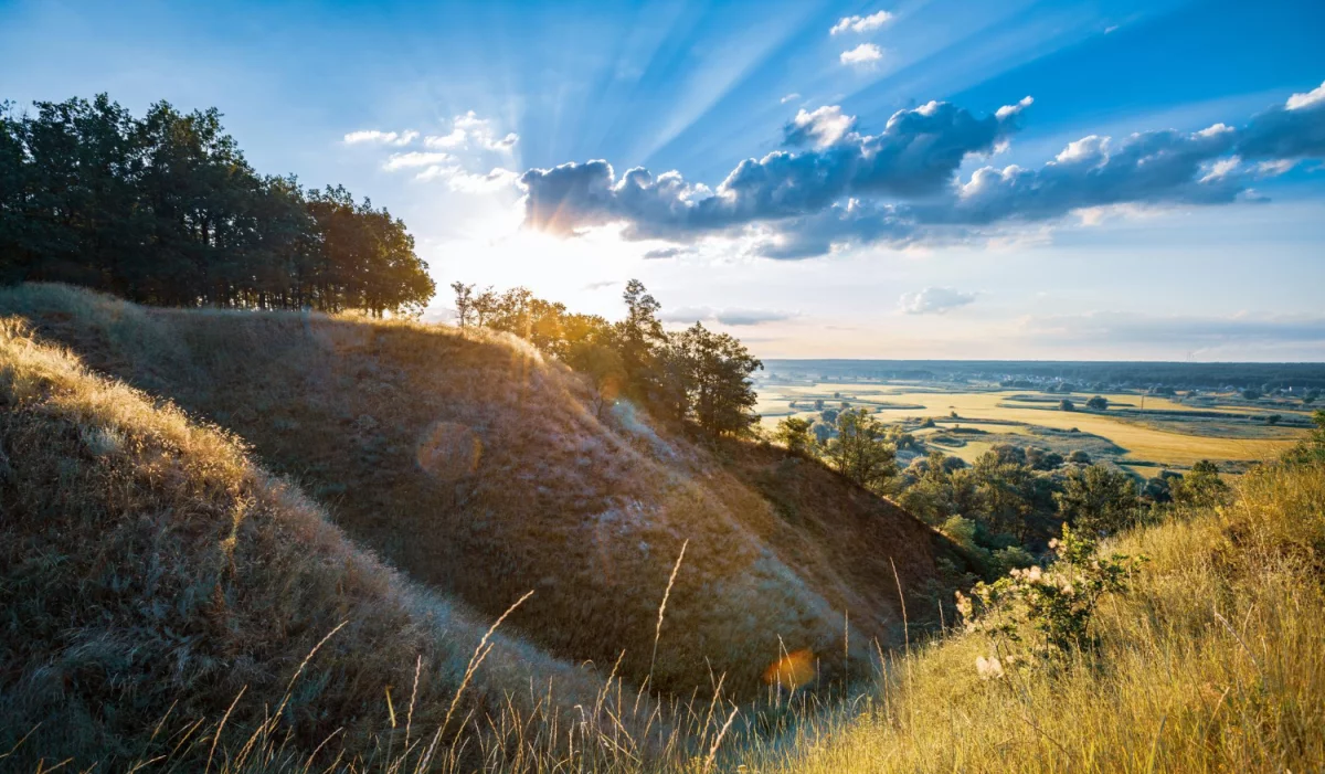 Materace lateksowe: Klucz do Zdrowego Snu i Komfortowego Wypoczynku
