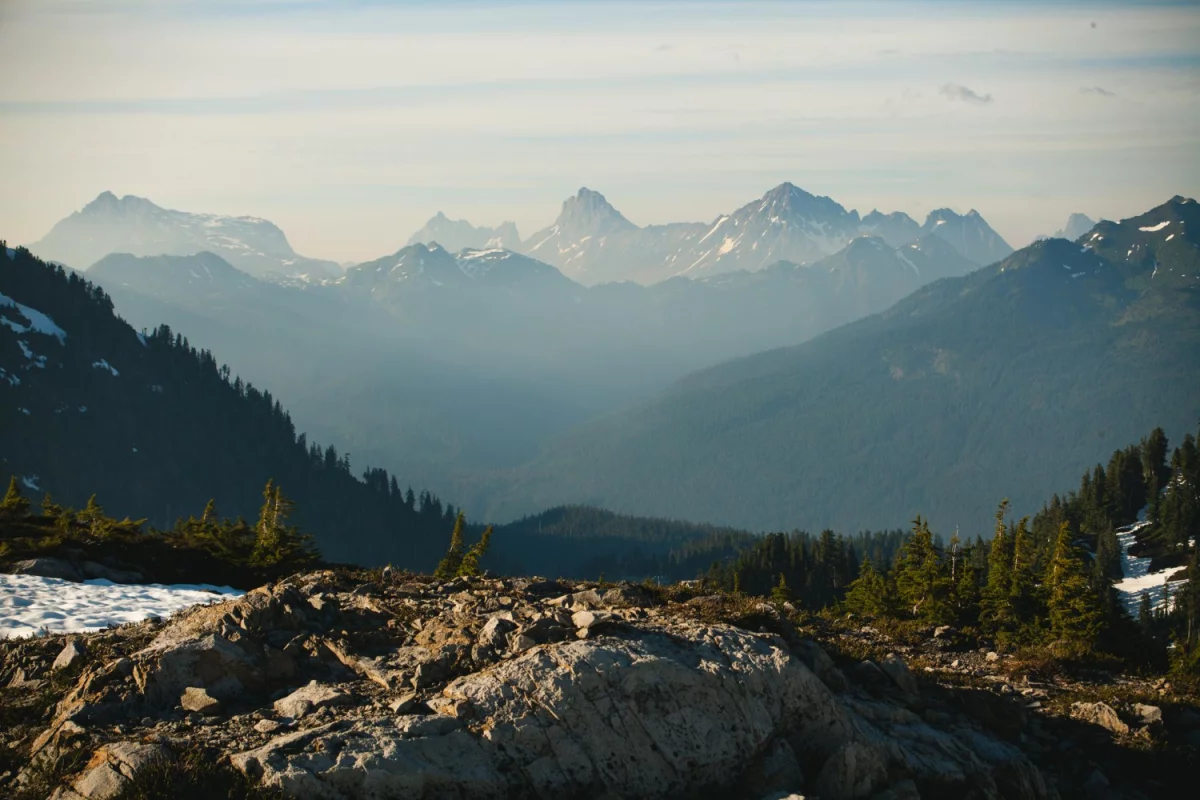 Firma budowlana: Klucz do sukcesu w realizacji Twoich marzeń o idealnym domu