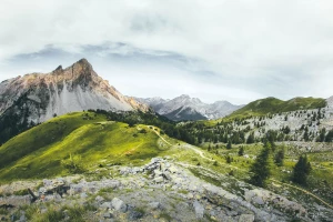 Kursy logistyki i zarządzania transportem: Klucz do sukcesu w dynamicznej branży